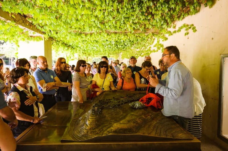 From Costa del Sol: Granada Full-Day Tour - Exploring the Tour Overview