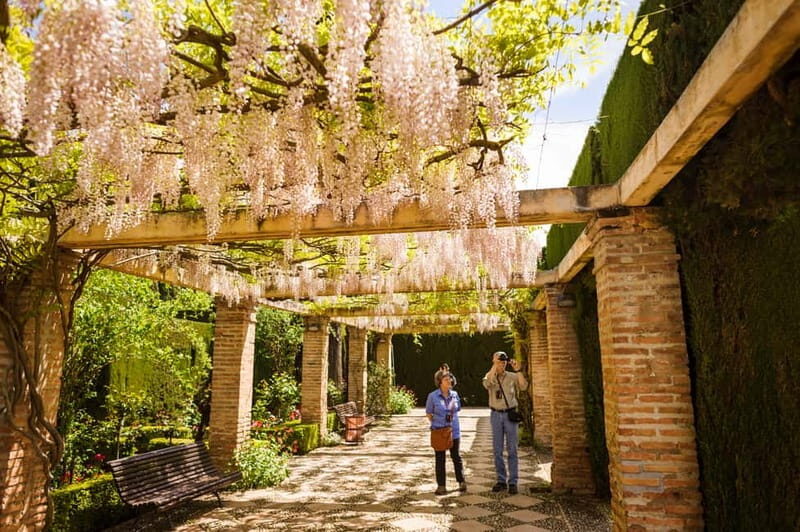 From Costa del Sol: Granada Full-Day Tour - The Optional Tours and Flexibility