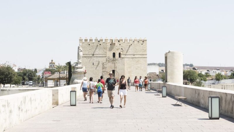 From Costa Del Sol & Malaga: Cordoba Guided Day Tour - Key Highlights of the Itinerary