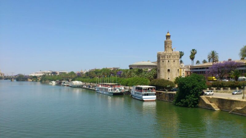 From Costa Del Sol & Malaga: Seville Day Trip - Customer Reviews and Ratings