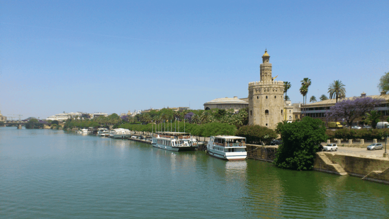 From Costa Del Sol & Malaga: Seville Day Trip - Frequently Asked Questions