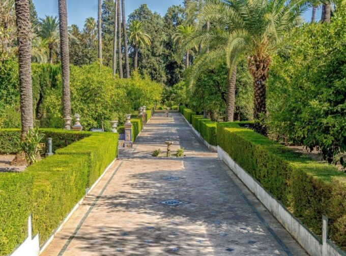 From Costa Del Sol: Seville Day Trip - Important Requirements