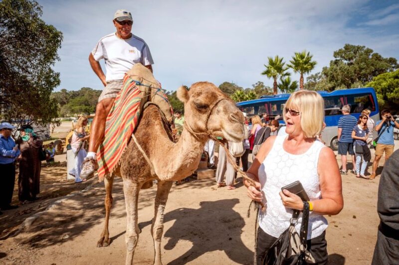 From Costa Del Sol: Tangier Full-Day Tour by Ferry - Good To Know