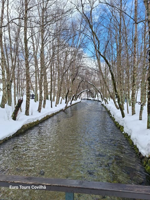 From Covilhã: Serra da Estrela Guided Tour with Lunch - Key Points  