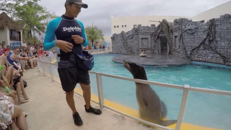 From Cozumel: Chankanaab Admision + Snorkel +Open Bar +Lunch - A Practical Introduction to the Experience