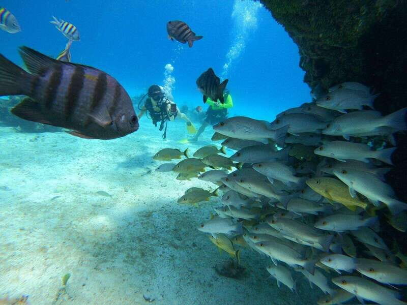 From Cozumel: Chankanaab Cozumel Scuba Diving - FAQs