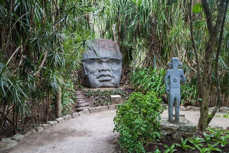 From Cozumel: Chankanaab Park Day pass with Open Bar & Lunch - Practical Tips for Visitors