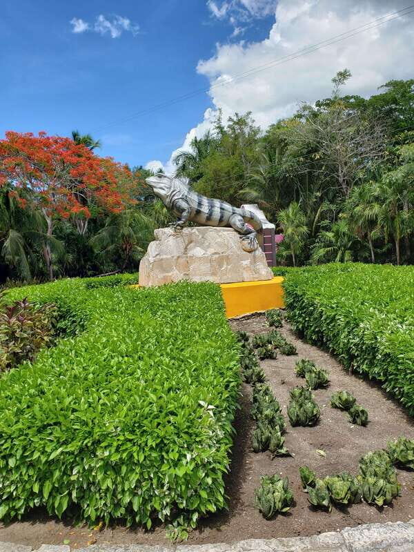 From Cozumel: Chankanaab Park Day pass with Open Bar & Lunch - Who Will Love This Experience?