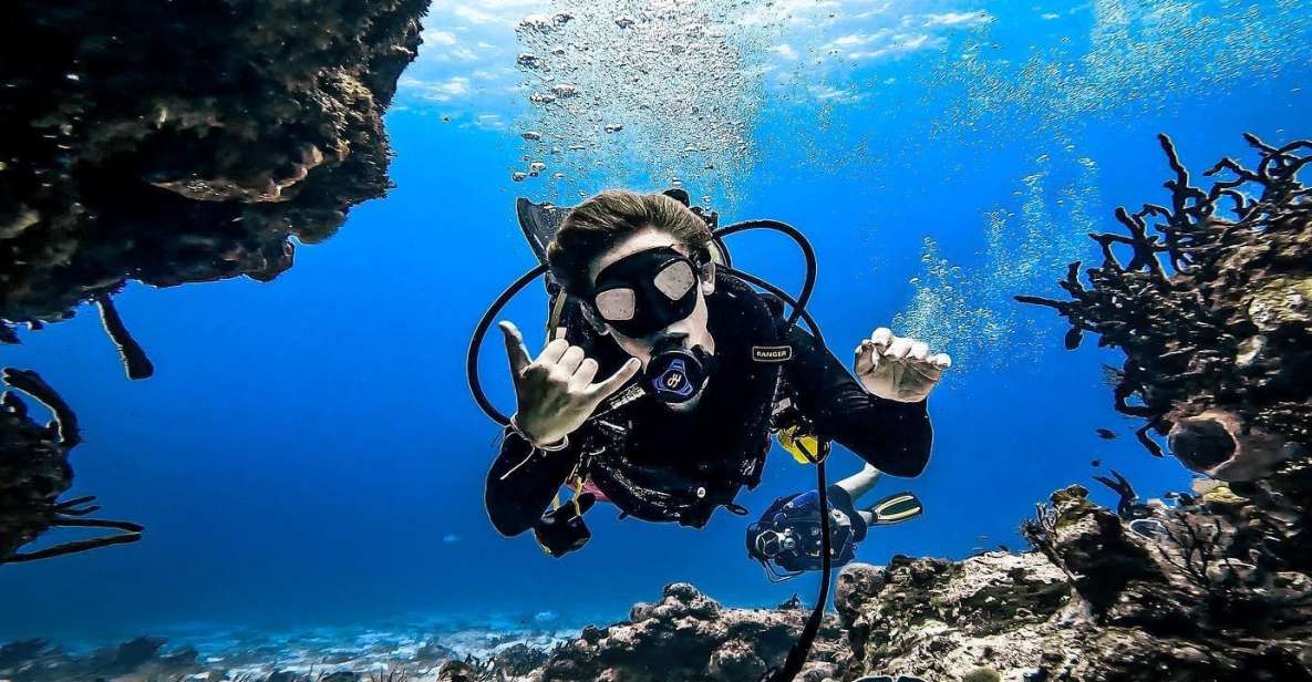 From Cozumel: Double Tank Scuba Diving for Certified Divers - Key Points