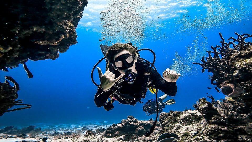 From Cozumel: Double Tank Scuba Diving for Certified Divers - Requirements and Restrictions