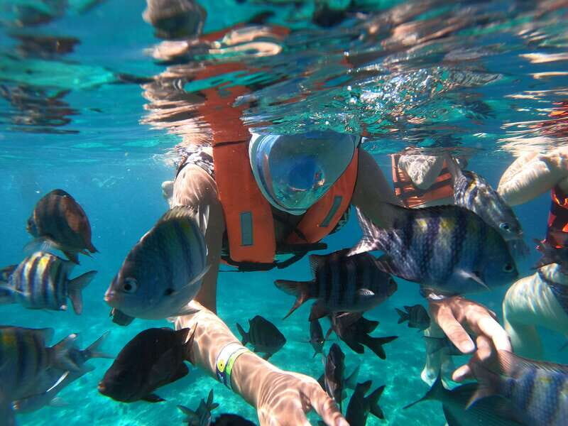 From Cozumel: Invisible Boat Snorkeling Tour - Key Points