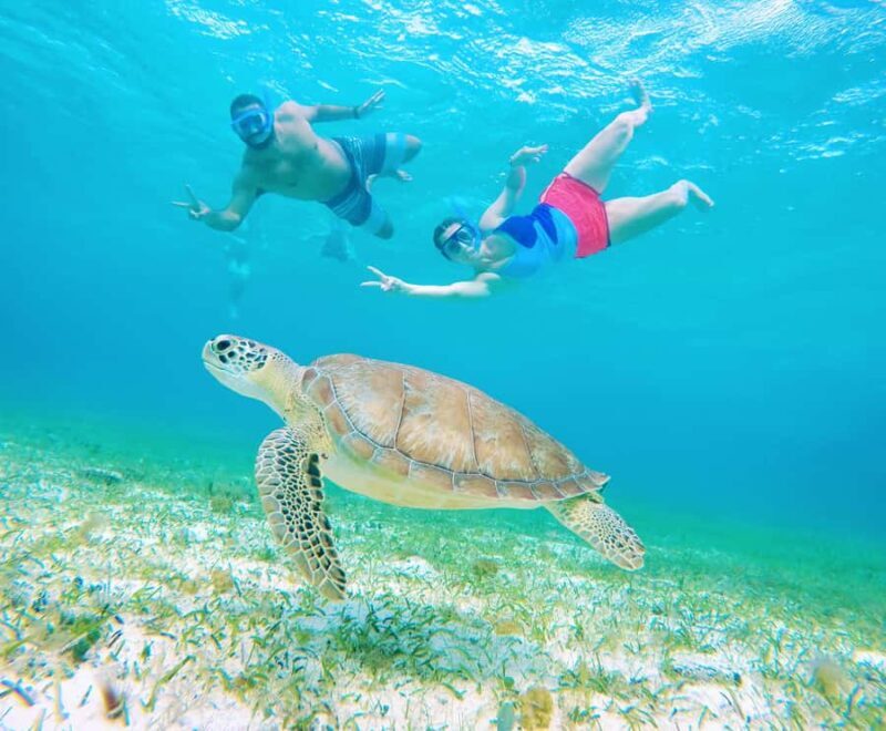 From Cozumel: Starfish, Stingrays & El Cielo Beach Snorkel - Why This Tour Offers Great Value