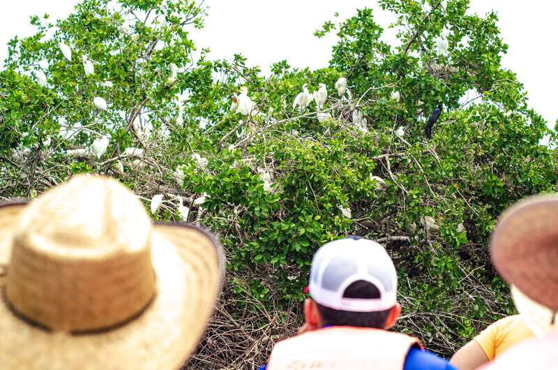 From Crucecita: Ventanilla, Zipolite, and Puerto Ángel Tour - Exploring La Ventanilla and its Wildlife