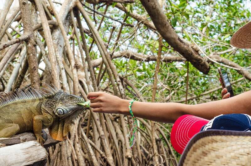 From Crucecita: Ventanilla, Zipolite, and Puerto Ángel Tour - Zipolite’s Unique Beaches