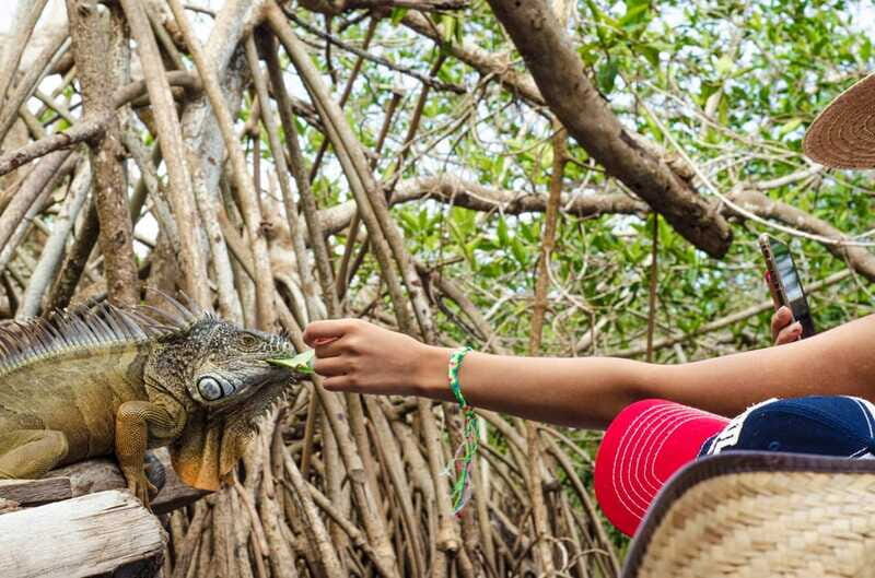 From Crucecita: Ventanilla, Zipolite, and Puerto Ángel Tour - Puerto Angel: A Seaside Feast
