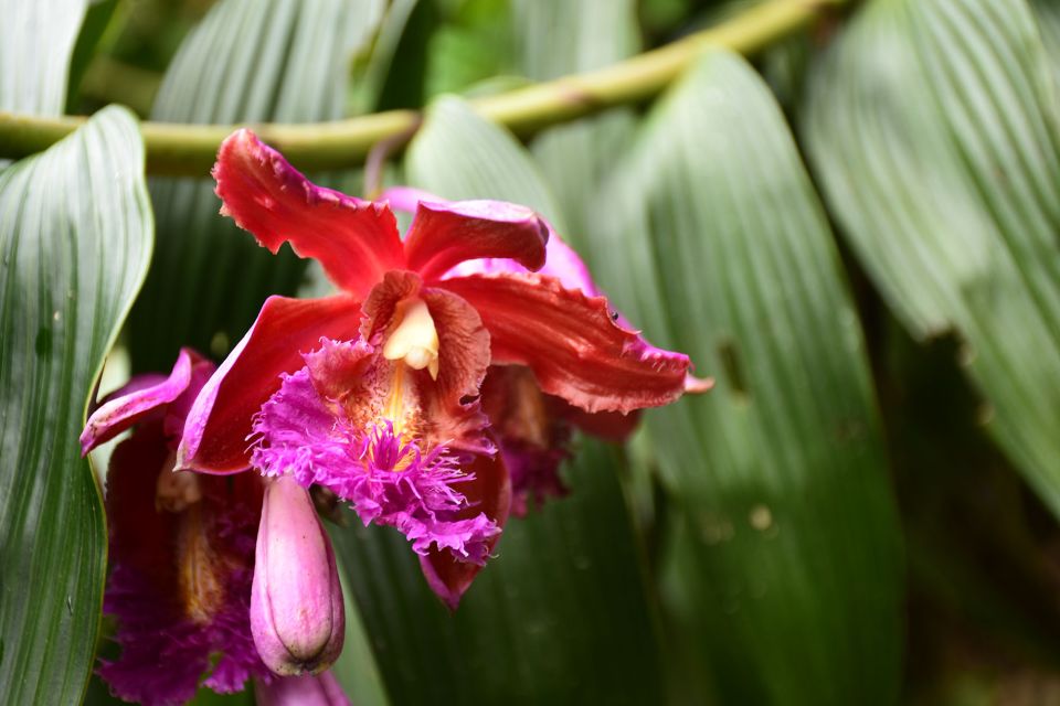 From Cusco: 2 Days Inca Trail to Machu Picchu - Inclusions