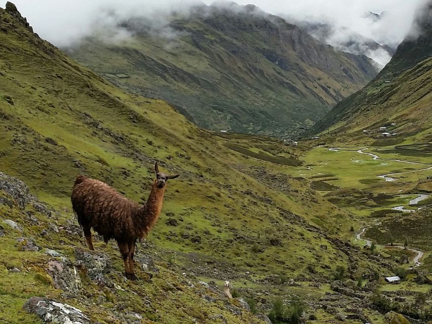 From Cusco: 4-Day Alternative Lares Trail to Machu Picchu - Lares Hot Springs and Cuncani