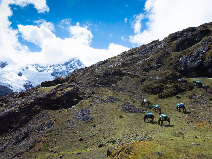 From Cusco: 4-Day Alternative Lares Trail to Machu Picchu - Condor Pass and Cancha Cancha