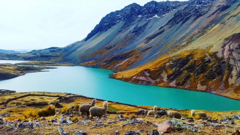 From Cusco: Ausangate 7 Lagoons Tour 1 Day. - Inclusions and Exclusions