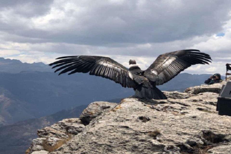 From Cusco: Cusco Machu Picchu Luxury Tour - Frequently Asked Questions