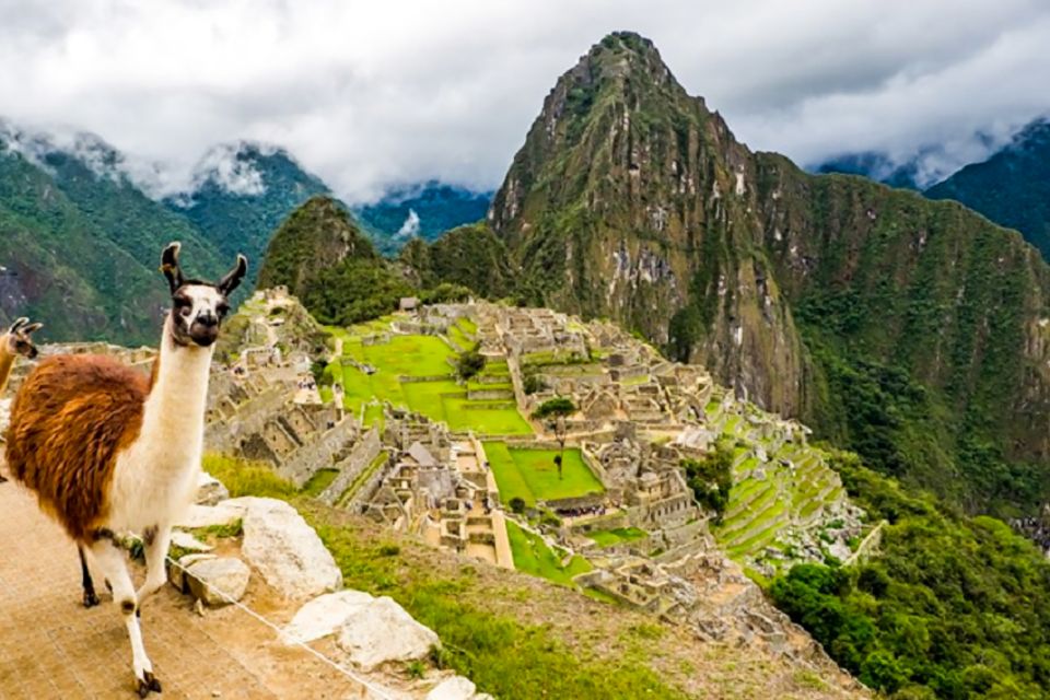 From Cusco: Full-Day Group Tour of Machu Picchu - Inclusions and Exclusions