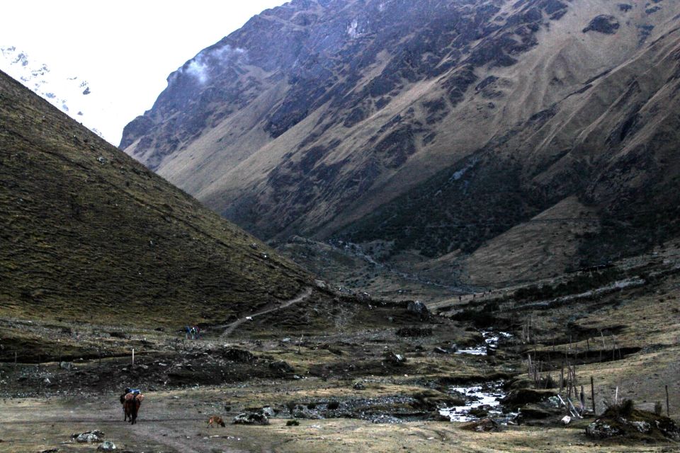 From Cusco: Full-Day Tour to Humantay Lagoon - Frequently Asked Questions