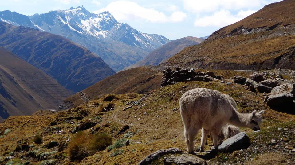 From Cusco : Inka Jungle Tour Machu Picchu 4 Days/3 Nights - Participant Requirements