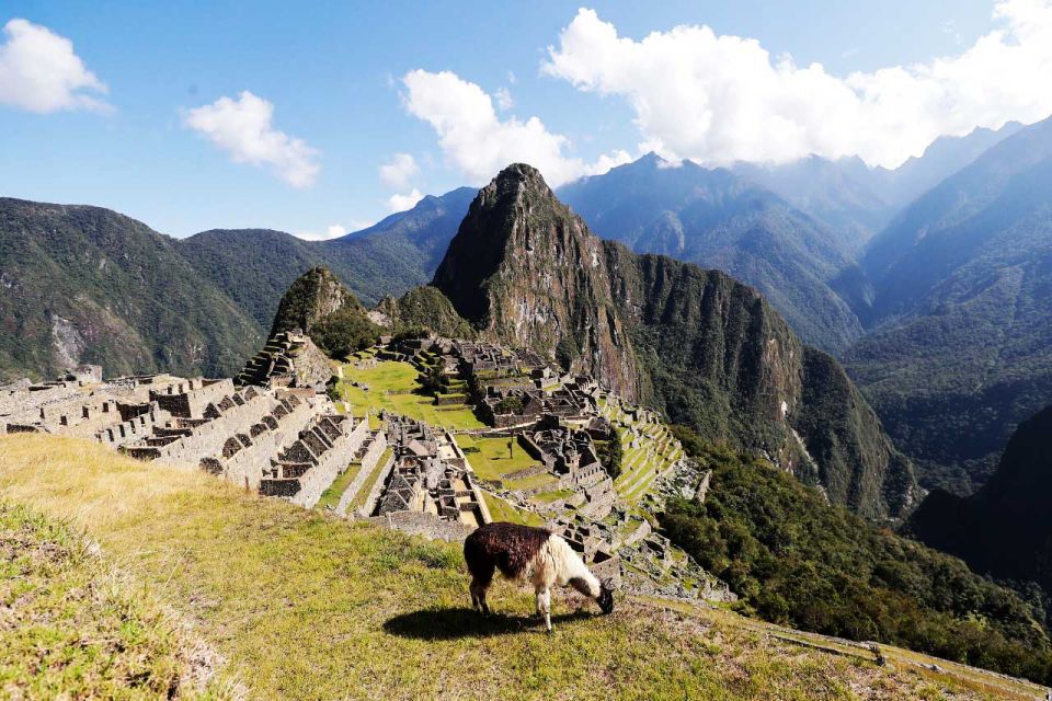 From Cusco: Machu Picchu Amazing + Rainbow Mountain 2D - 1N - Train Ride to Aguas Calientes