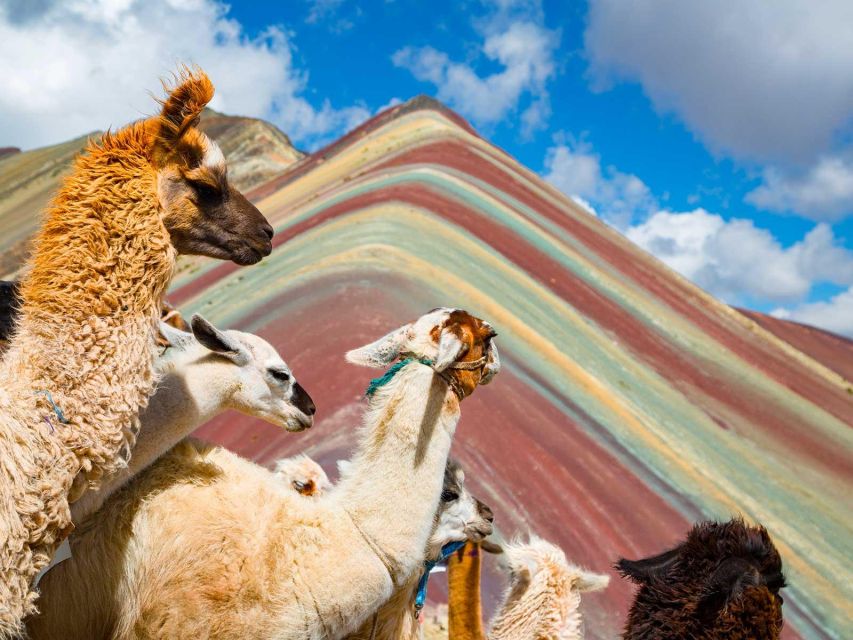 From Cusco: Machu Picchu and Rainbow Mountain 2-Day Tour - Frequently Asked Questions