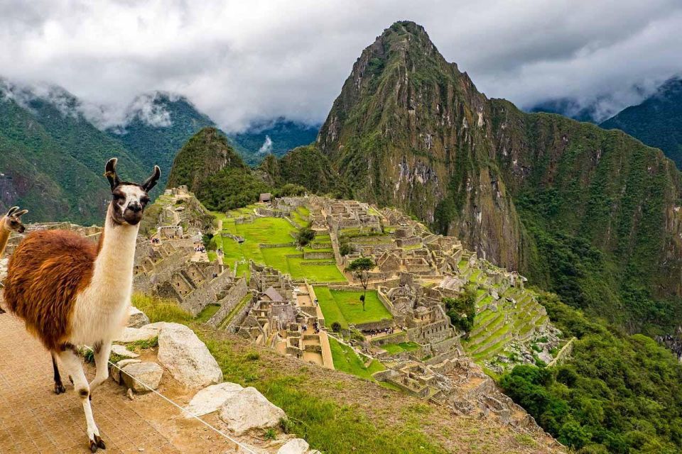 From Cusco: Machu Picchu Citadel Full Day Tour - Itinerary and Daily Schedule