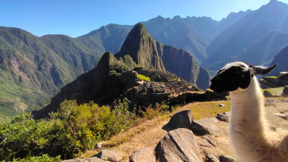 From Cusco: Machu Picchu & Cusco Classic 5 Days - Expert Local Guides