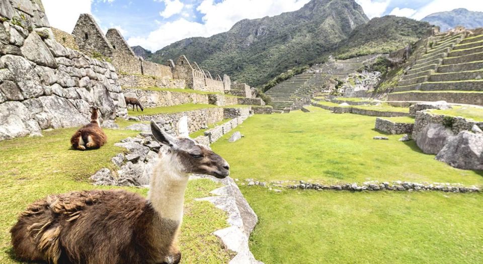 From Cusco: Machu Picchu Day Trip - Transportation Arrangements