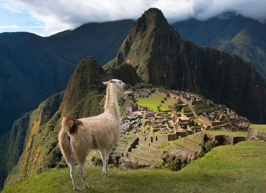From Cusco: Machu Picchu + Huayna Picchu Mountain - Key Points