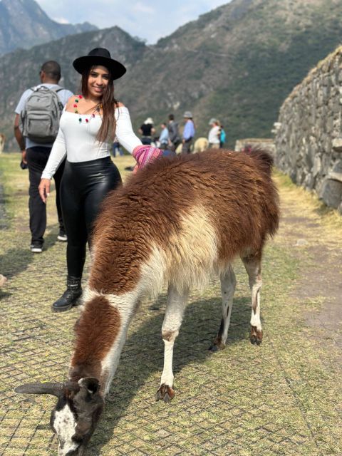 From Cusco: Machupicchu Full Day Trip by Train - Roundtrip Train Ticket