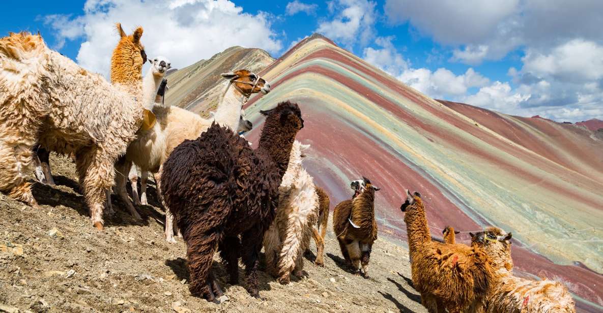 From Cusco | Rainbow Mountain in ATV - Booking and Cancellation Policy