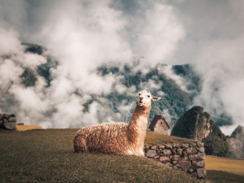 From Cusco: Sacred Valley & Machu Picchu 2-Day Tour by Train - Key Points