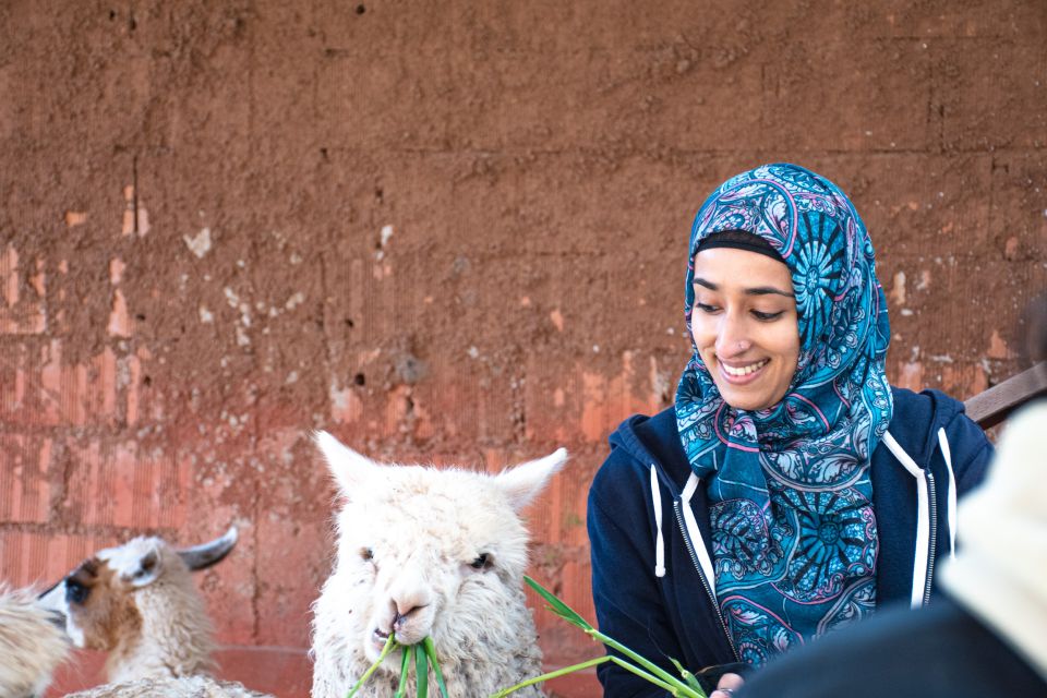 From Cusco: Sacred Valley & Maras Salt Mines Tour With Lunch - Excluded From the Tour