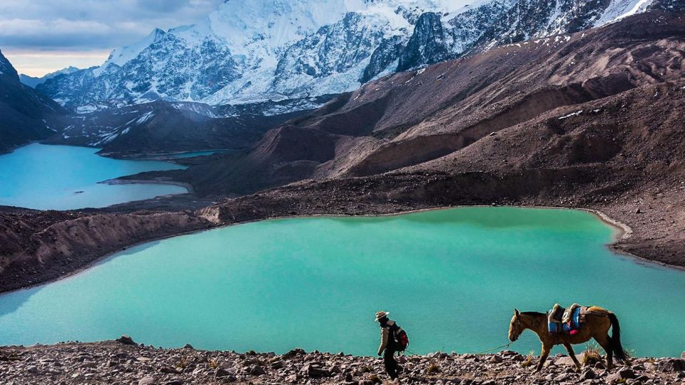 From Cusco: Salkantay Trek 5 Days/4 Nights Meals Included - Highlights