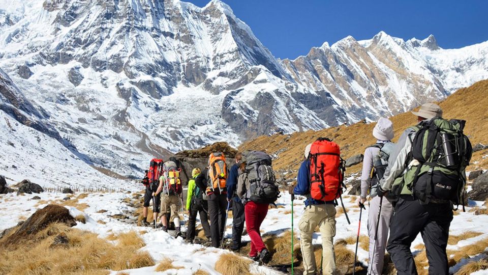 From Cusco: Salkantay Trek 5 Days/4 Nights Meals Included - Day 4: Santa Teresa to Aguas Calientes