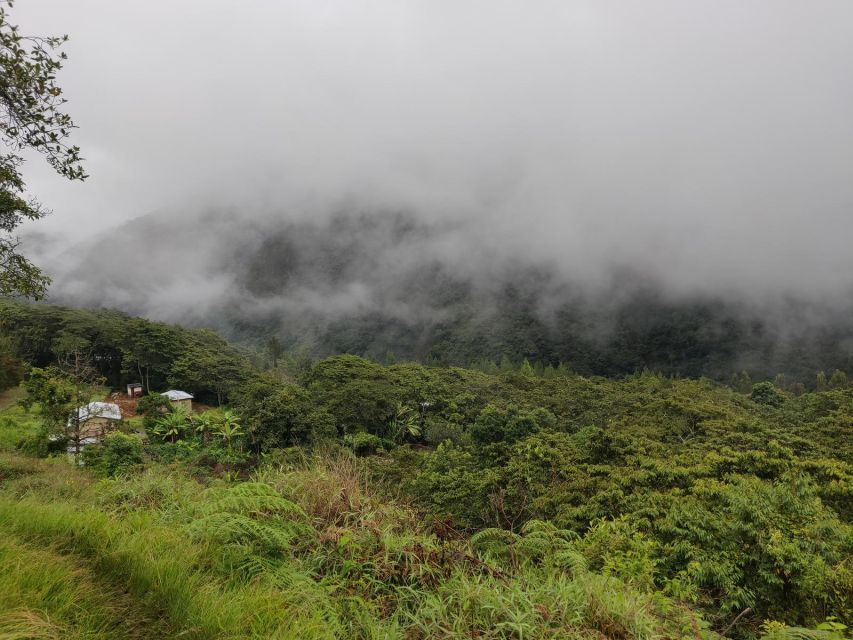 From Cusco: Salkantay Trek 5 Days 4 Nights - Included in the Tour