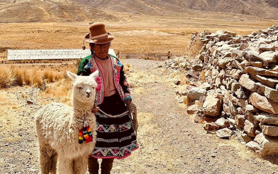 From Cusco: Titicaca Lake With the Route of the Sun in 2 Days - Customer Feedback