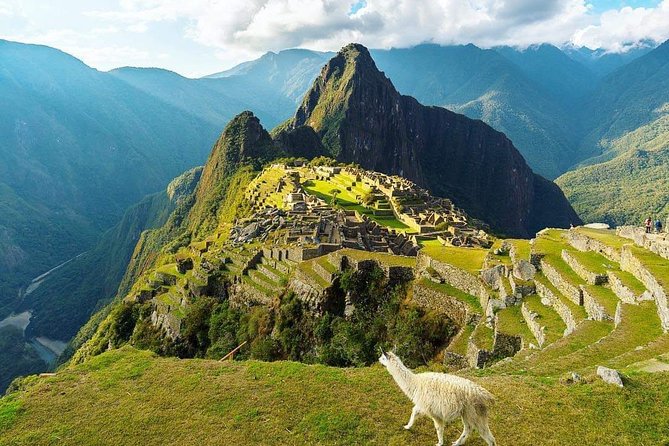 From Cusco to Machu Picchu FULL DAY - Accessibility and Participation