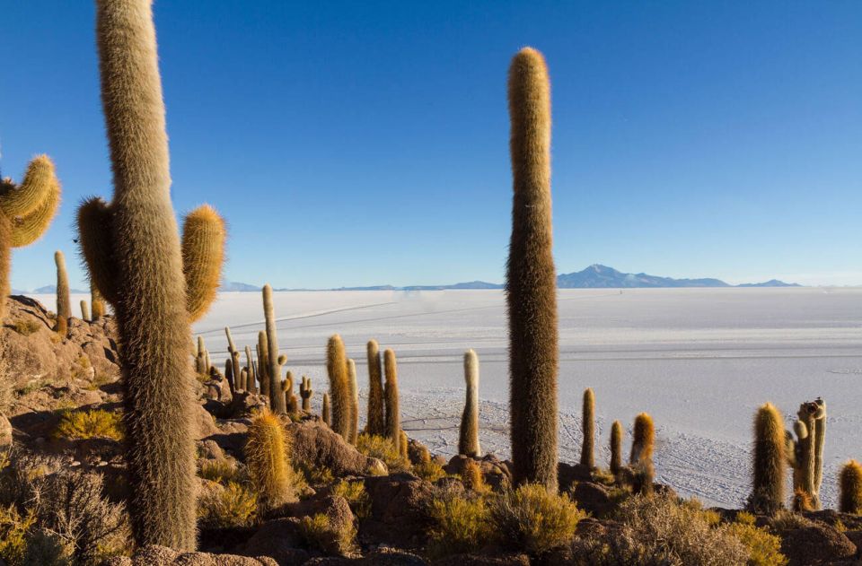 From Cusco: Uyuni Salt Flat Tour 3 Days 2 Nights - Day 1: Cusco to Puno