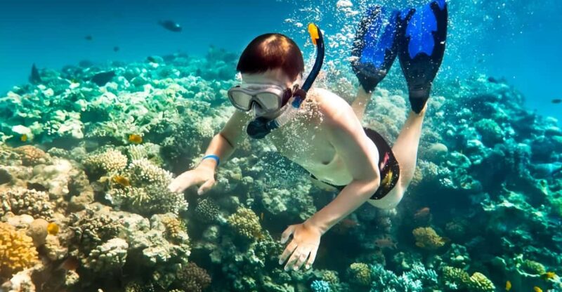 From Da Nang/Hoi An: Cham Islands Tour With Snorkeling - Key Points