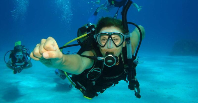 From Dahab: Diving Day Trip at The Canyon and Blue Hole - Dive Sites and Experience