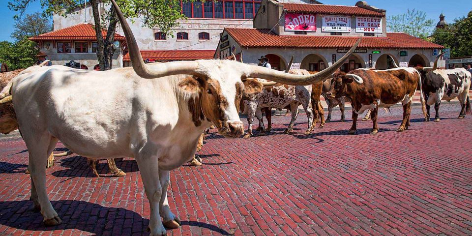 From Dallas: Fort Worth Guided Day Tour - Highlights