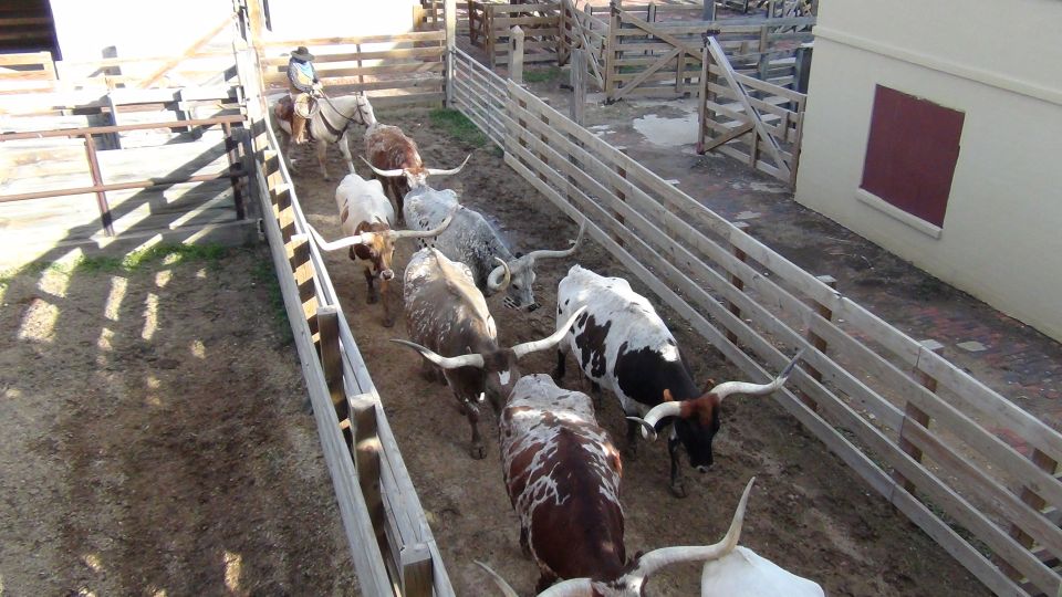From Dallas: Fort Worth Guided Day Tour - Recap