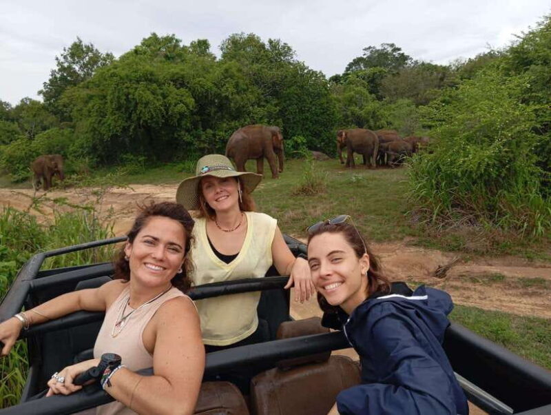 From Dambulla/Sigiriya/: Minneriya National Park 4hr safari - The Experience in Detail: What to Expect from Your Safari