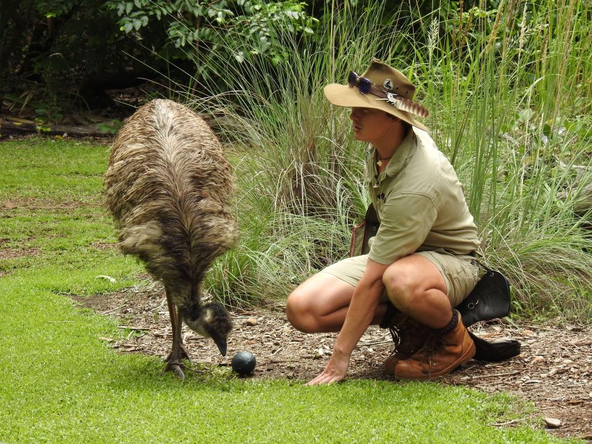 From Darwin: 1 Day Territory Wildlife Park Tour - Inclusions