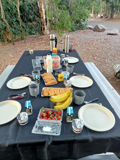From Darwin: Kakadu 2-Day Tour - Recap